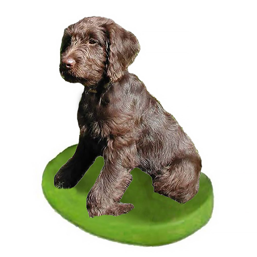 Custom Pet Dog Bobblehead - Labradoodle