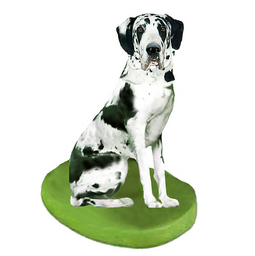 Custom Pet Dog Bobblehead - Great Dane